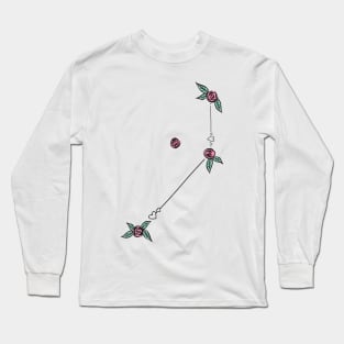 Pictor (The Easel) Constellation Roses and Hearts Doodle Long Sleeve T-Shirt